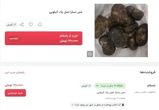 عنبرنسا