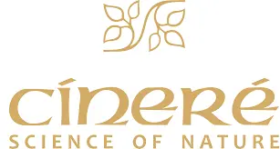 سینره