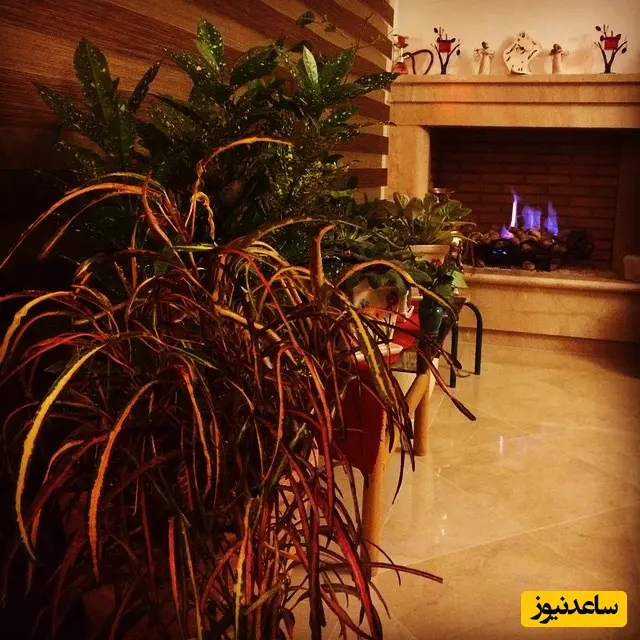 منزل مهراوه شریفی نیا