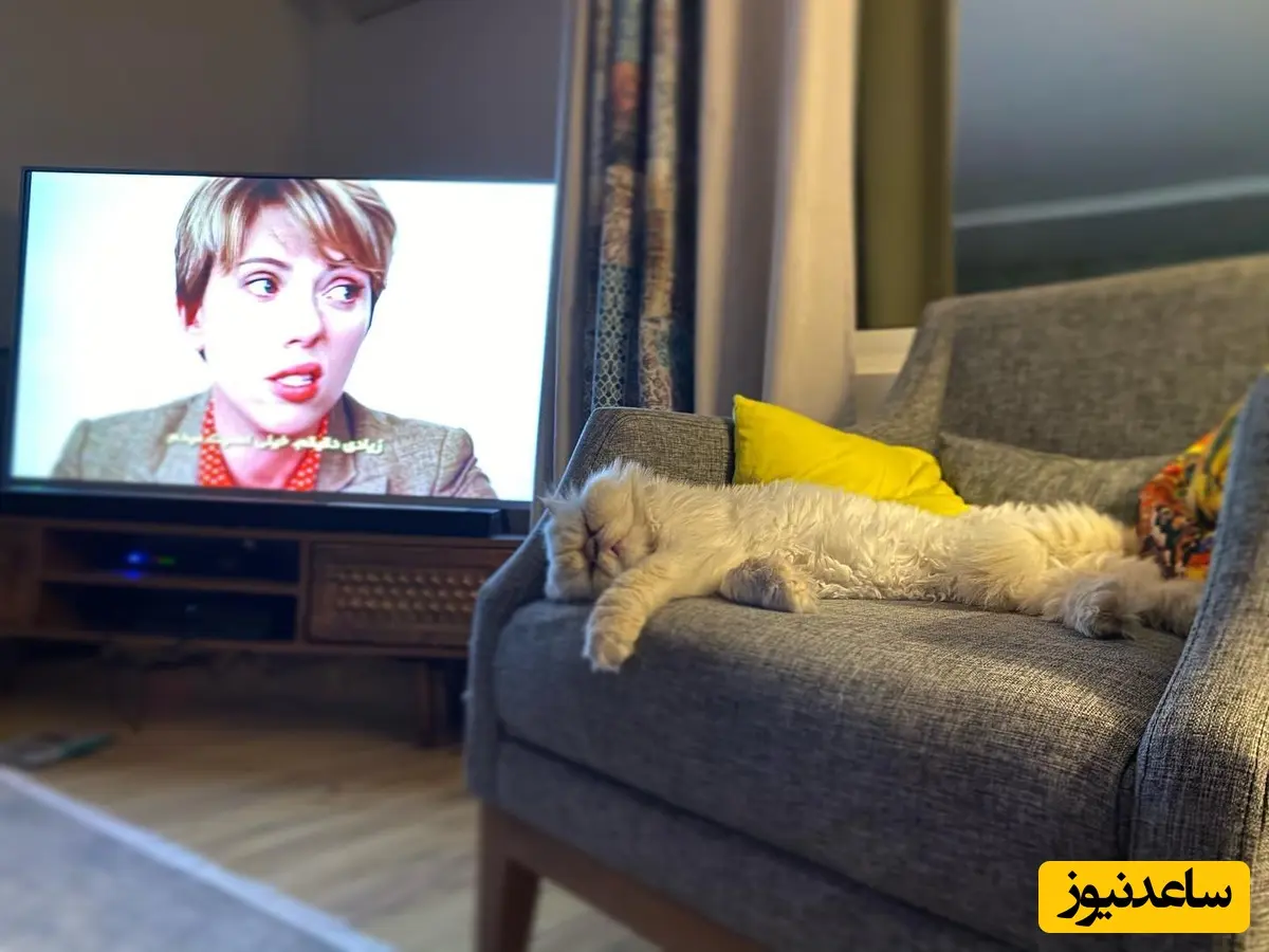 منزل علی اوجی