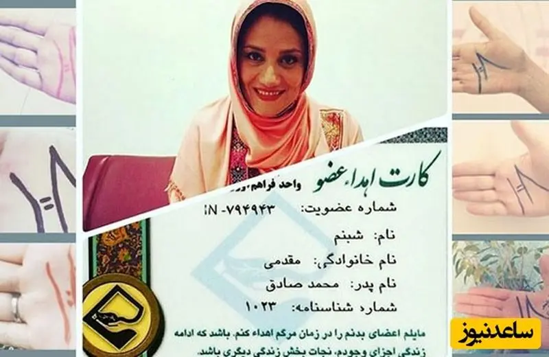 هنرمند