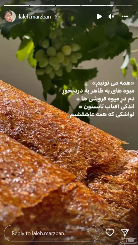 لواشک خانگی لاله مرزبان