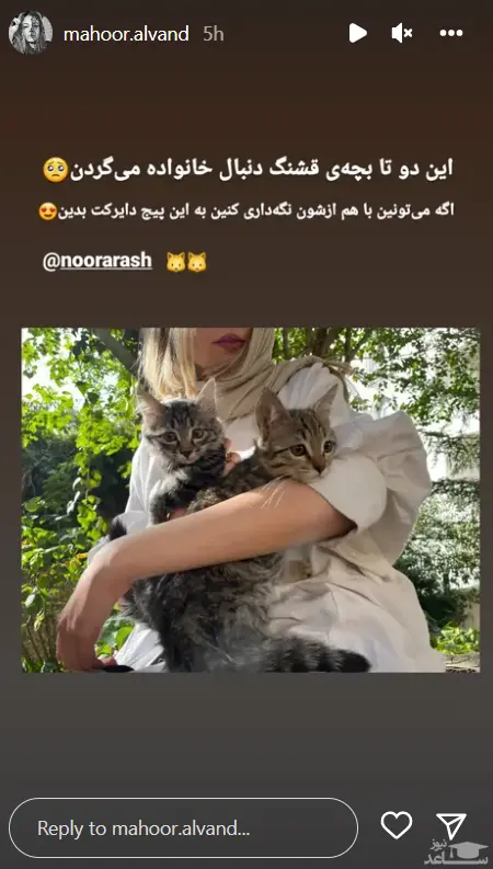 استوری ماهور الوند با گربه ها