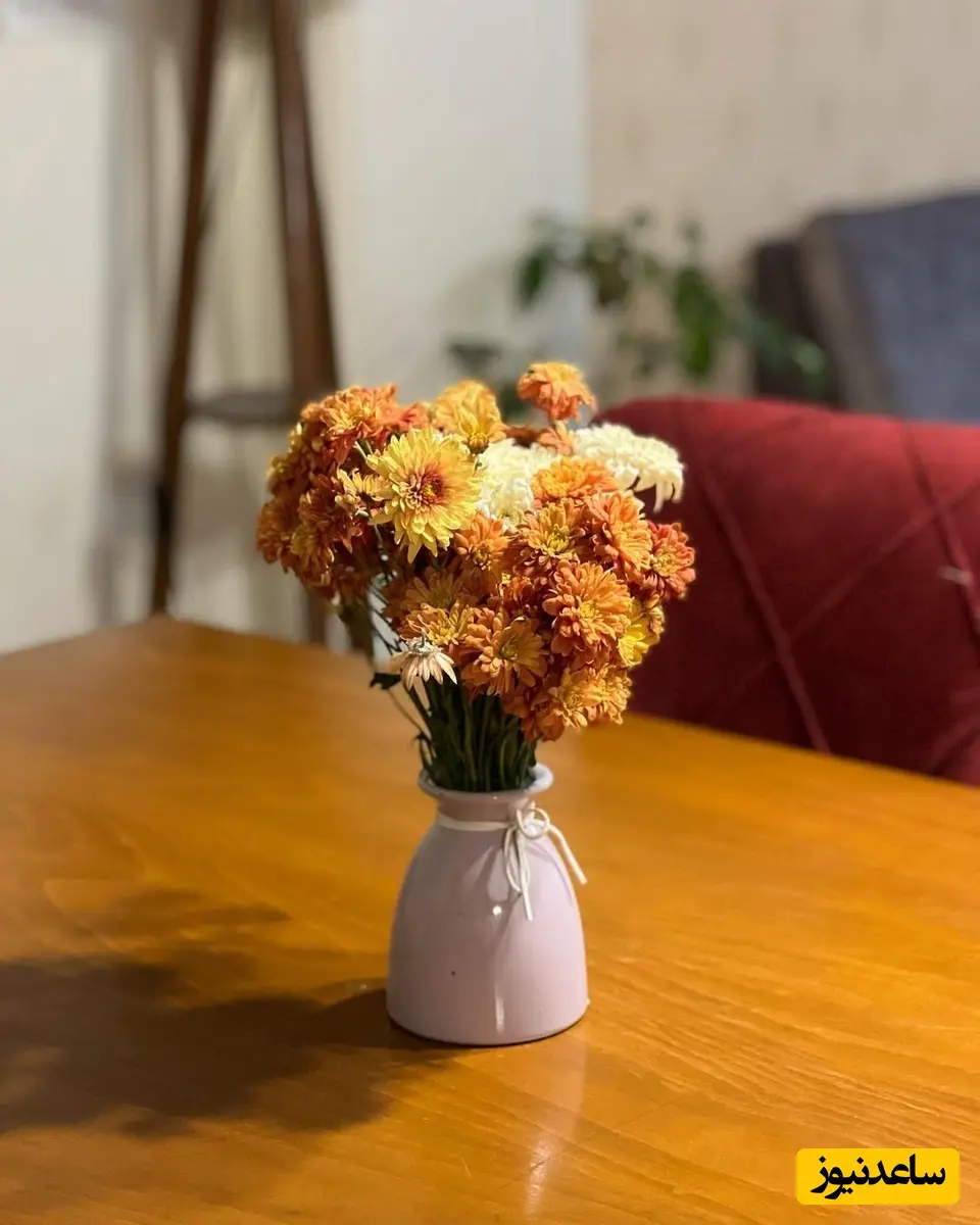چیدمان منزل مهشید جوادی