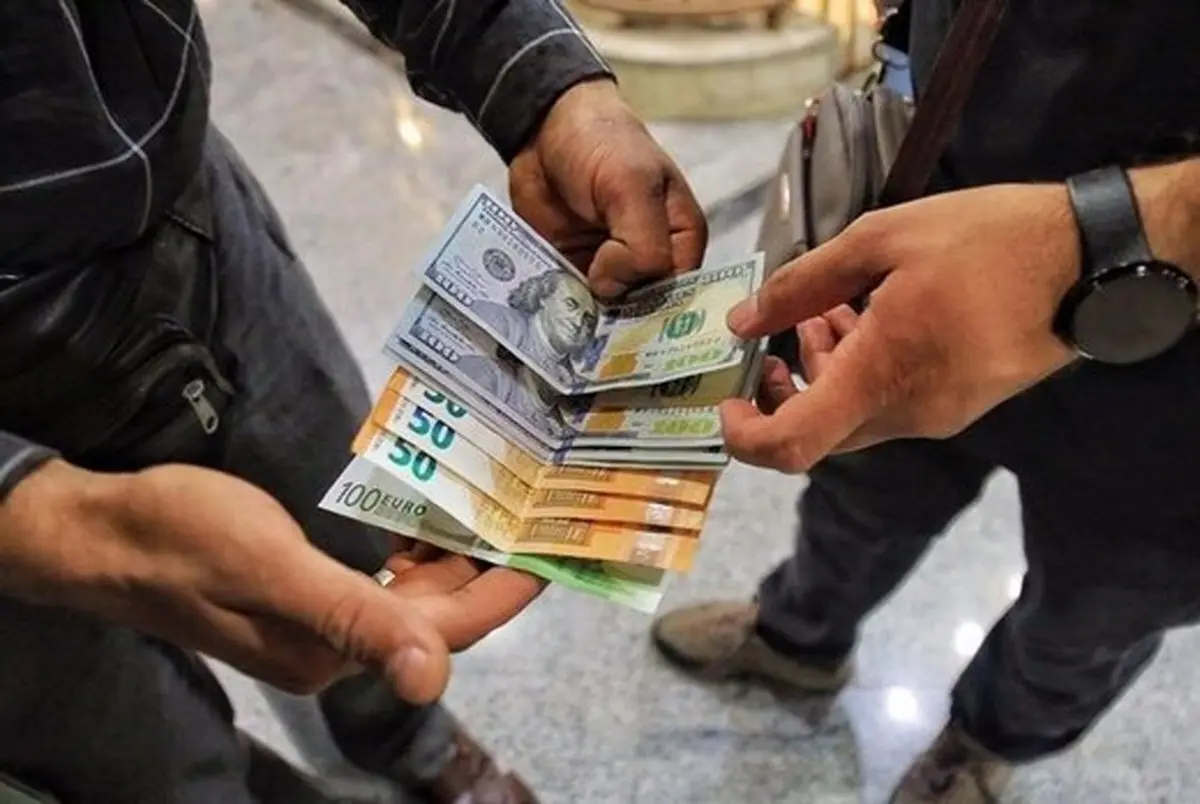 رونمایی از مهمترین دلیل نوسان قیمت ارز/ فرزانی: دولت اجازه ارزان‌تر شدن قیمت دلار را نمی‌دهد