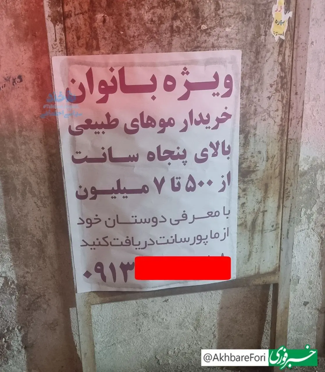 قیمت مو