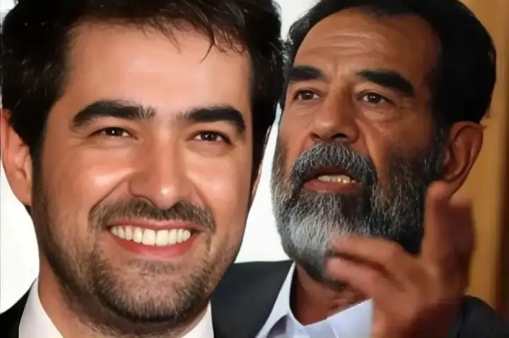 شهاب حسینی