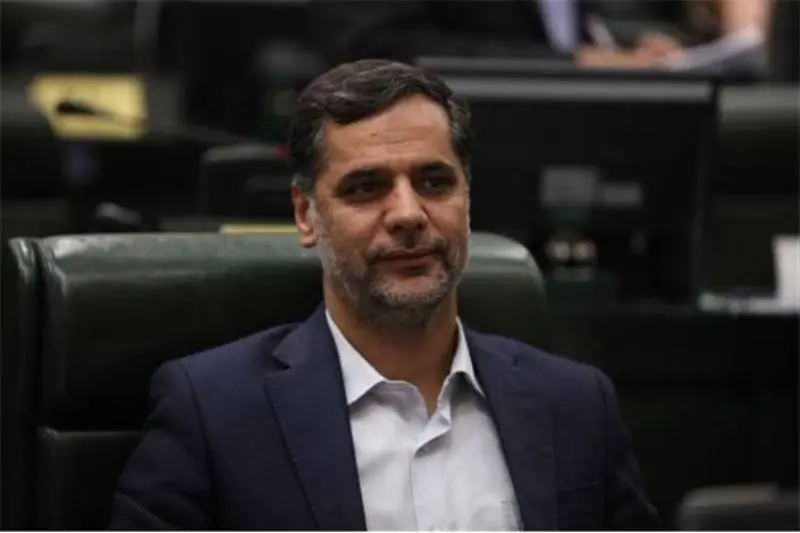 نقوی حسینی: برخی نمایندگان برای سلبریتی شدن همه نوع نظری میدهند / نظر نمایندگان در فضای بینالملل موضع حاکمیتی تلقی میشود