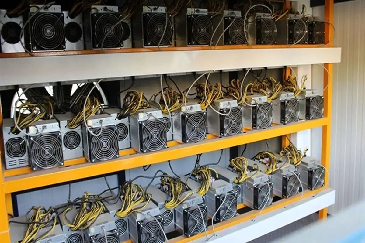برقخواران تهران و اردبیل شناسایی شدند