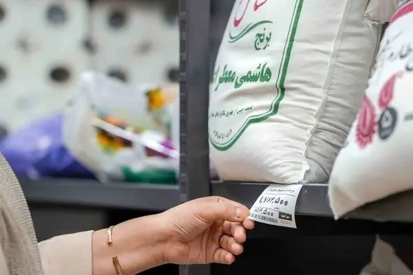 برنج وارداتی دولتی؛ راهکار تازه برای مقابله با قیمت‌های آزاد