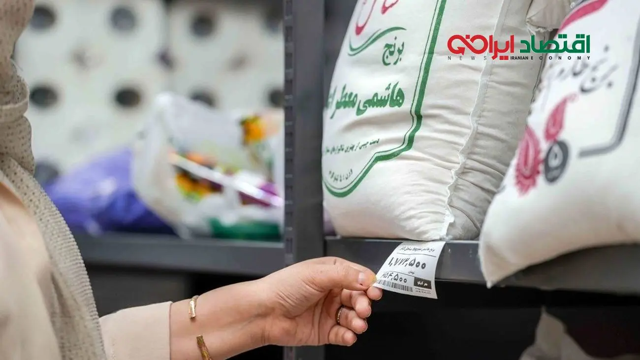 برنج وارداتی دولتی؛ راهکار تازه برای مقابله با قیمت‌های آزاد