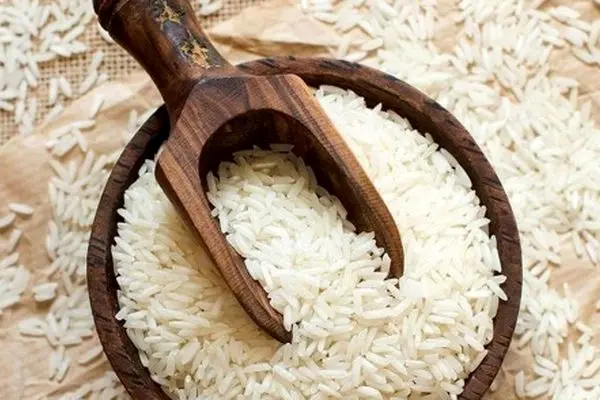 خبر داغ/ قیمت برنج ایرانی پایین آمد!