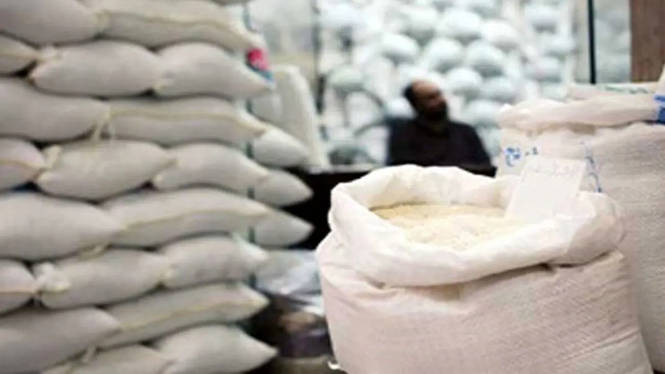 برنج سنواتی هاشمی با چه قیمتی از کشاورزان خریداری میشود؟