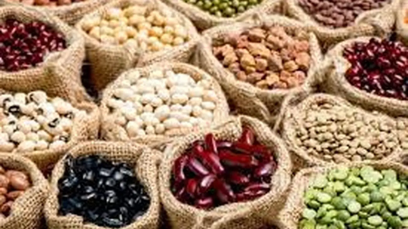 تکلیف قیمت کالاهای اساسی/ بستگی به شناسنامه دار کردن باغات و محصولات دارد!
