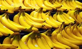 چرا بازار موز ایران دست ترکیه است؟ /افزایش 400 درصدی بهای واردات موز