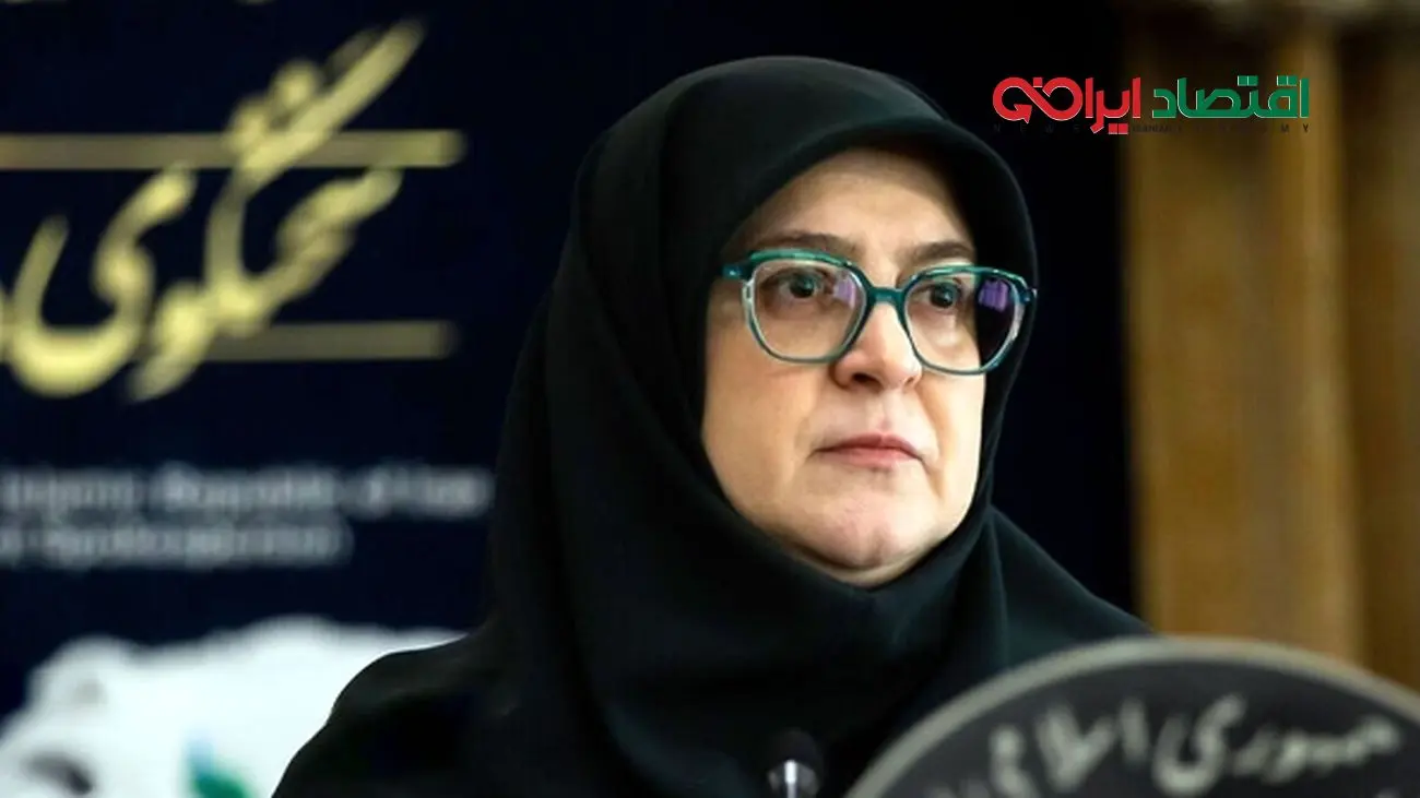 واکنش سخنگوی دولت به حذف یارانه دهک‌های ۸ و ۹ + فیلم