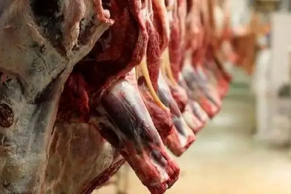 قیمت گوشت قرمز امروز ۲۲ آبان 1404 مشخص شد