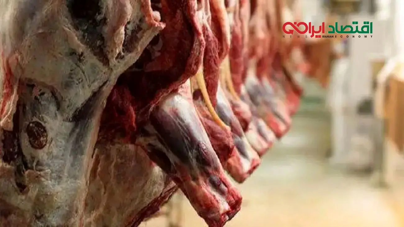 واردات گوشت گرم گوساله از پاکستان و برزیل با نرخ مصوب 598 هزار تومان