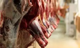 واردات گوشت گرم گوساله از پاکستان و برزیل با نرخ مصوب 598 هزار تومان