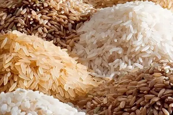 واردات برنج فایده داره یا گرانی؟