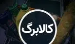 کالابرگ این دهک‌ها فعال شد/ لیست کالاهای قابل خرید با کالابرگ