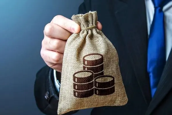 یارانه جدید دولت؛ ماهانه ۲ میلیون تومان به حساب این افراد!