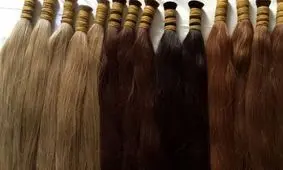  فقر بیداد می‌کند/ تجارت عجیب و غریب با خرید‌ و فروش موی زنان + عکس تلخ