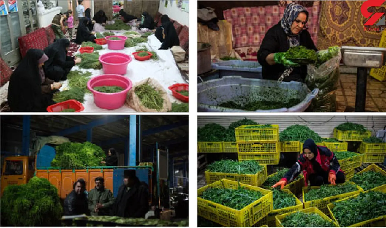 وام چند میلیاردی با سود نزدیک به صفر برای مشاغل خانگی در راه است + شرایط