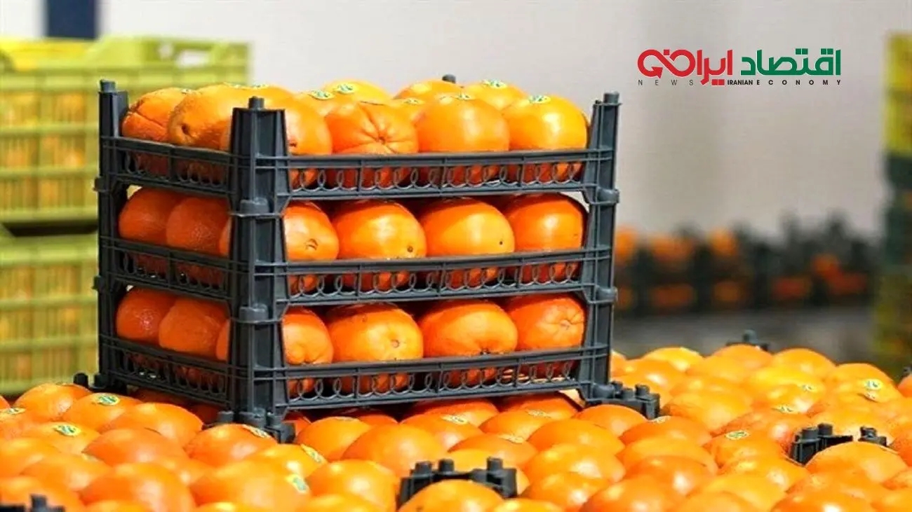 میوه عیدانه در حال توزیع است