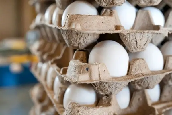 قیمت نهایی تخم مرغ اعلام شد / بالاتر از این قیمت نخرید !