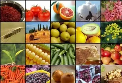 ۵هزار میلیارد تومان وام ویژه باغداران