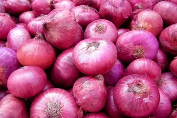 فروپاشی بازار با ورود پیاز به عرصه بورس!