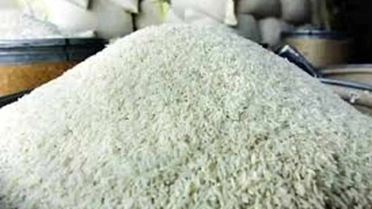 قیمت جدید برنج مازندران / هاشمی و طارم کیلویی چند؟!