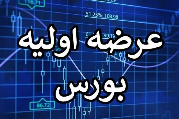 جزئیات و میزان نقدینگی عرضه اولیه آواک اعلام شد 