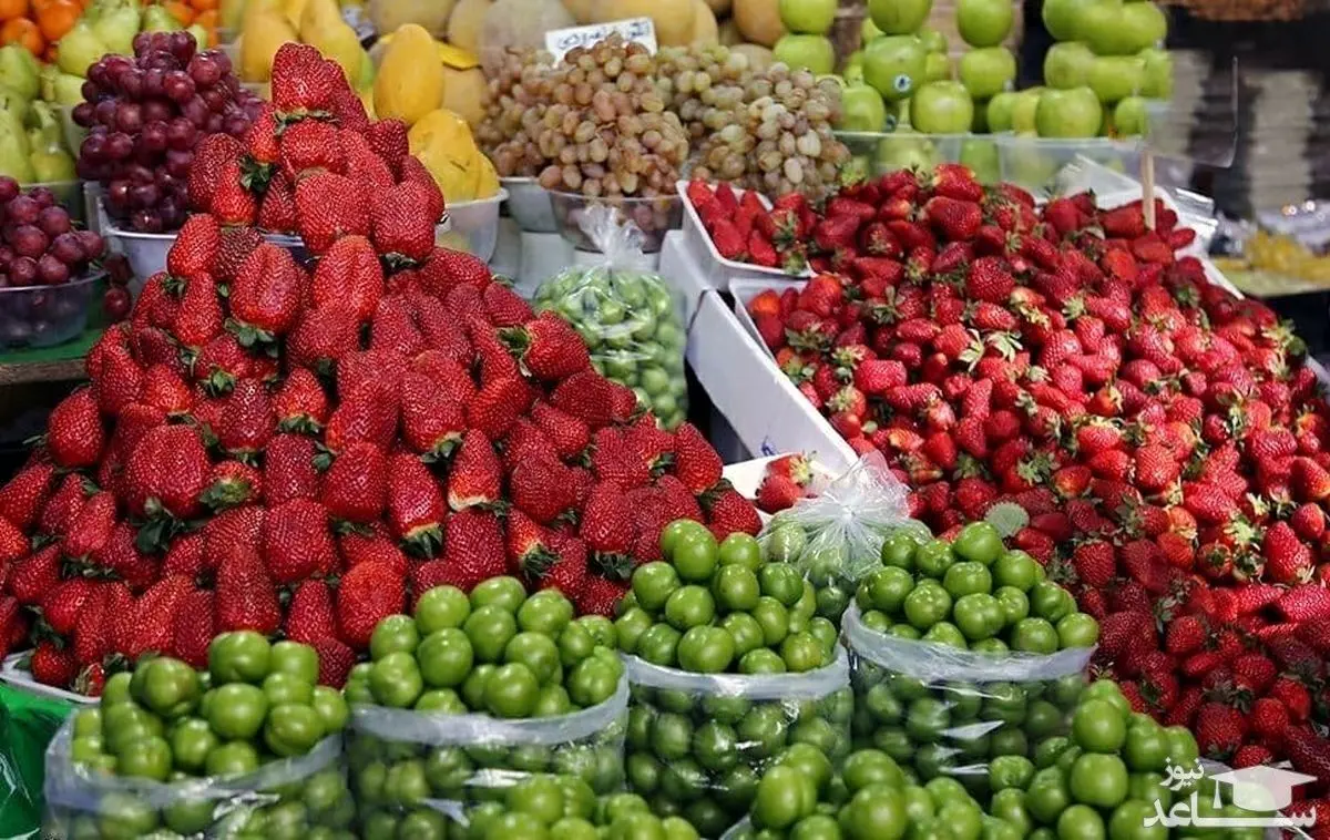 قیمت میوه های نوبرانه چند؟ / این خوشمزه ها به کیلویی 160 تومان رسید