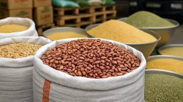حبوبات با مخ زمین خورد !