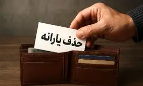 یارانه نقدی در آستانه نابودی؛ نماینده مجلس آماده ضربه نهایی!