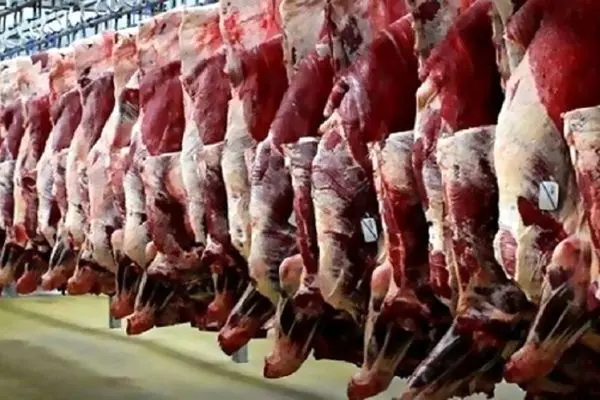 نرخ گوشت قرمز امروز سه‌شنبه ۲۸ مرداد ۱۴۰۴
