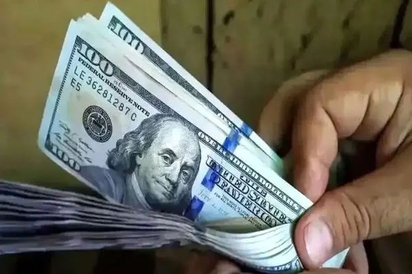 قیمت دلار امروز یکشنبه ۲ آذر ۱۴۰۴ +‌جدول