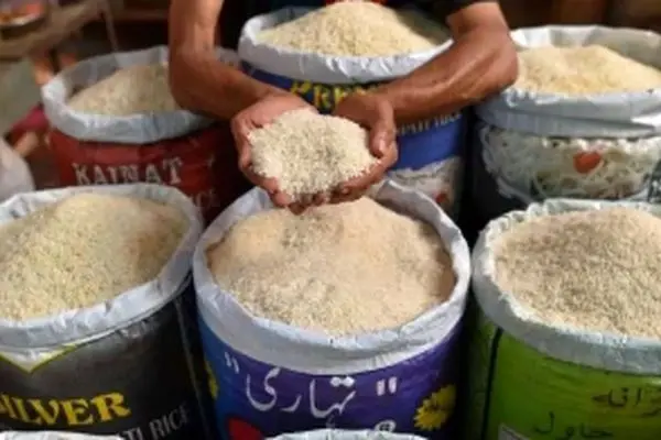 زلزله اقتصادی؛ قیمت جدید برنج ایرانی بازار را تکان داد - ۲۶ مهر ۱۴۰۴