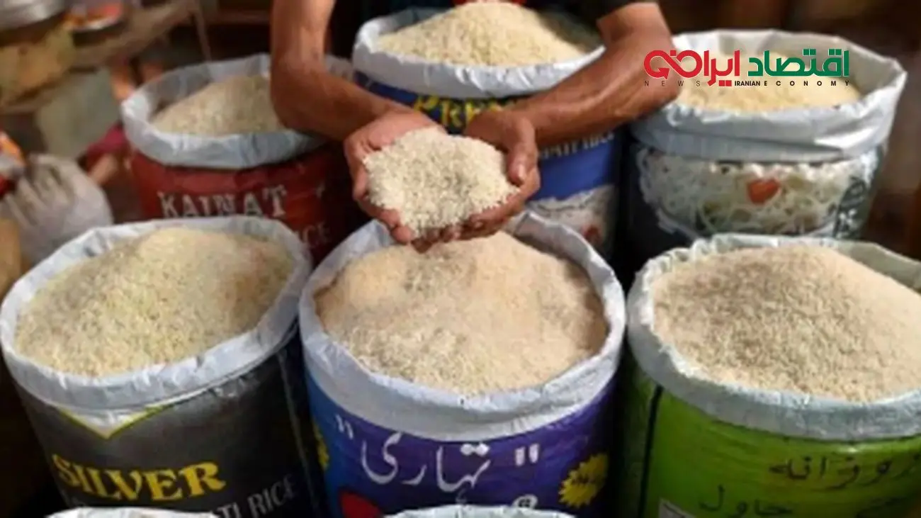 زلزله اقتصادی؛ قیمت جدید برنج ایرانی بازار را تکان داد - ۲۶ مهر ۱۴۰۴