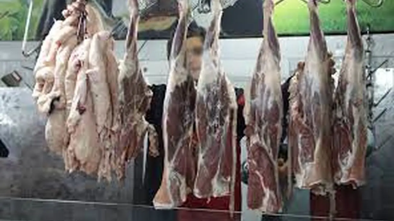تشریح ویژگی گوشتهای وارداتی | گوشت خارجی بی رحم تر از قصاب های ایرانی