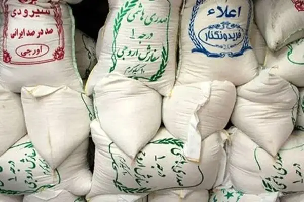 جدیدترین لیست قیمت برنج ایرانی: هاشمی، طارم و نیم‌دانه فقط ۴۰۰ هزار تومان! (آبان ۱۴۰۴)