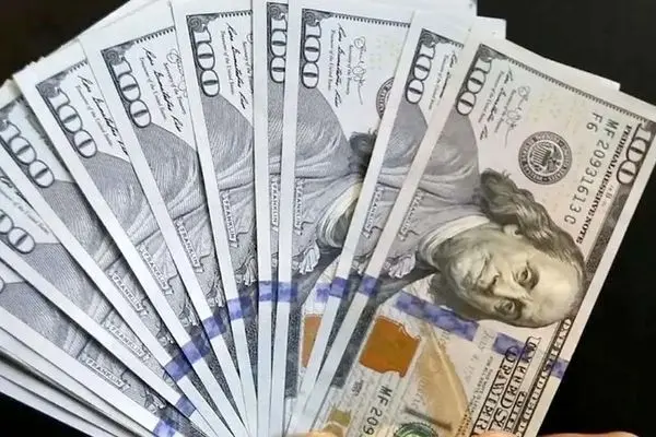 قیمت دلار امروز شنبه ۸ شهریور ۱۴۰۴ + جدول