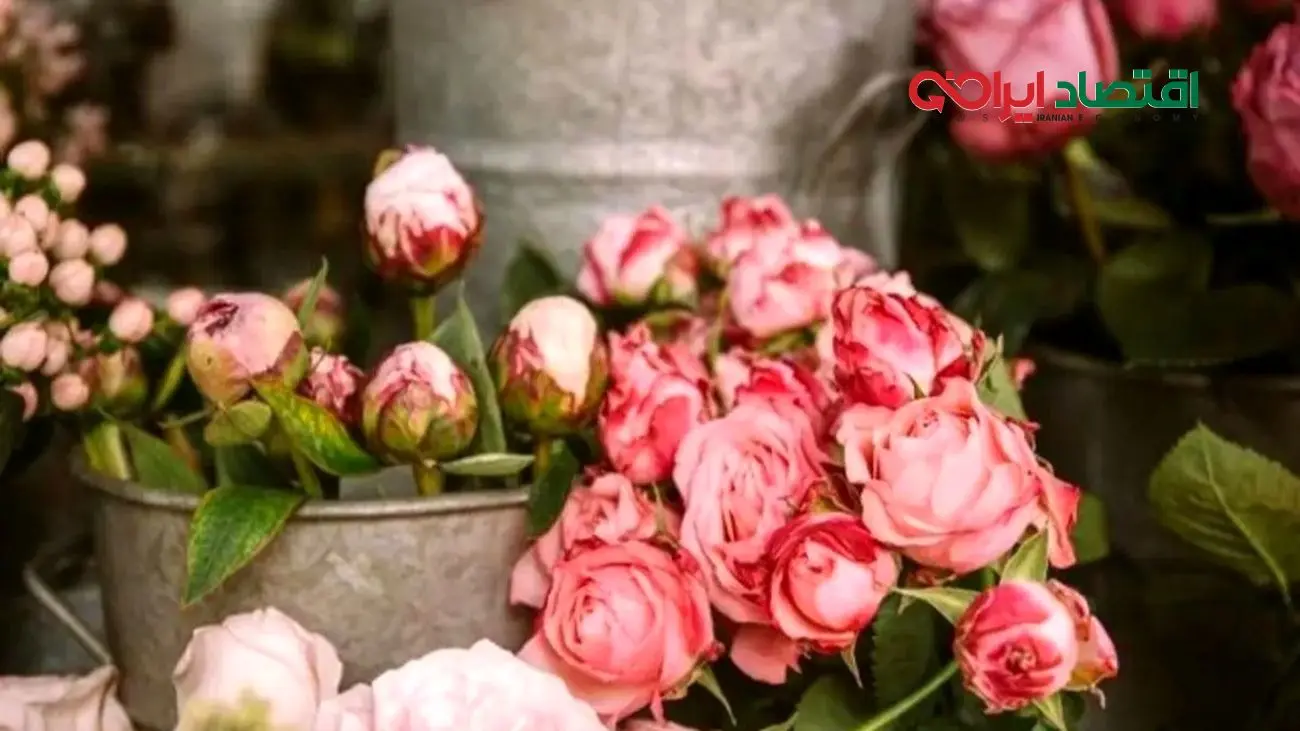 گل‌های گران‌تر از طلا؛ فاجعه قیمت‌ها در روز مادر!