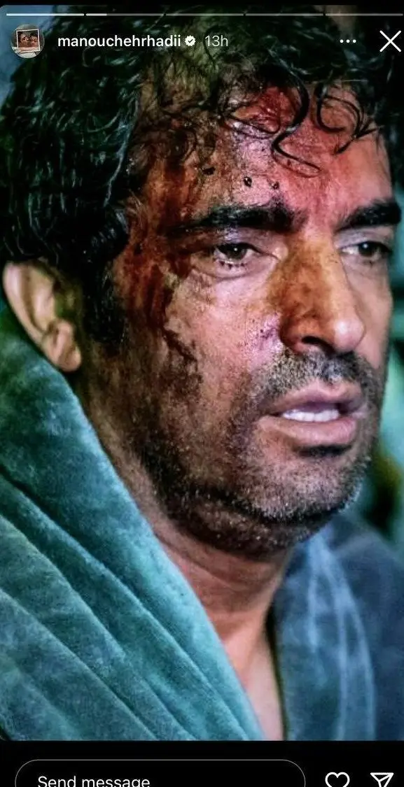 منوچهر هادی