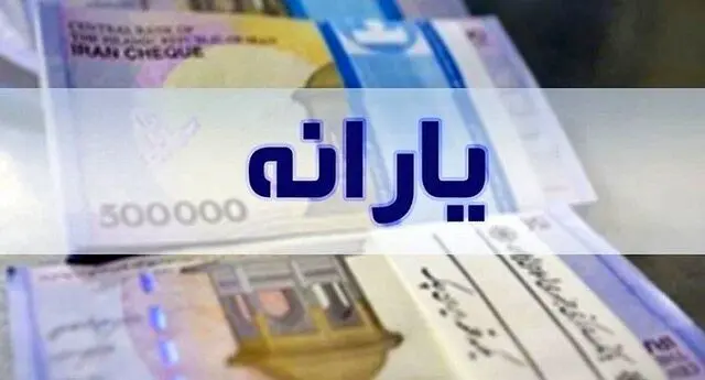 چه کسانی مشمول دریافت یارانه 300 و 400 تومانی دولت می شوند ؟!