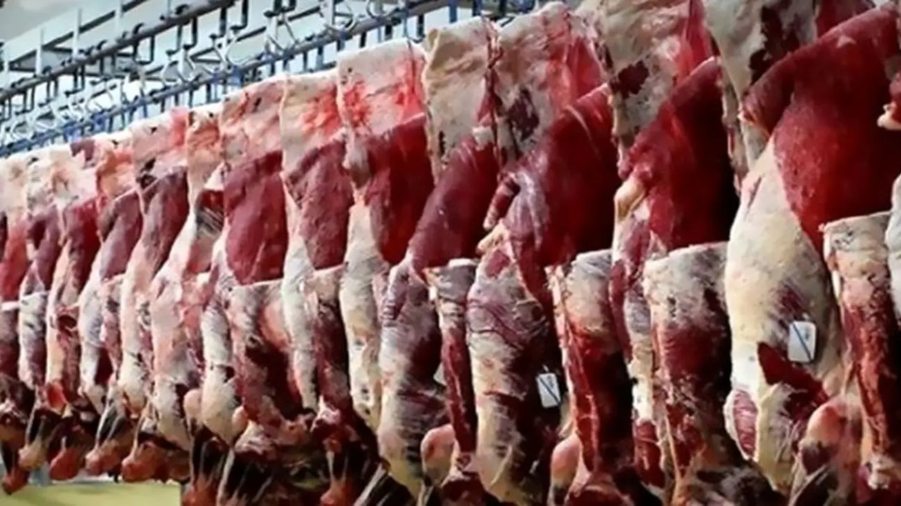 این عوامل باعث گرانی گوشت قرمز شدند