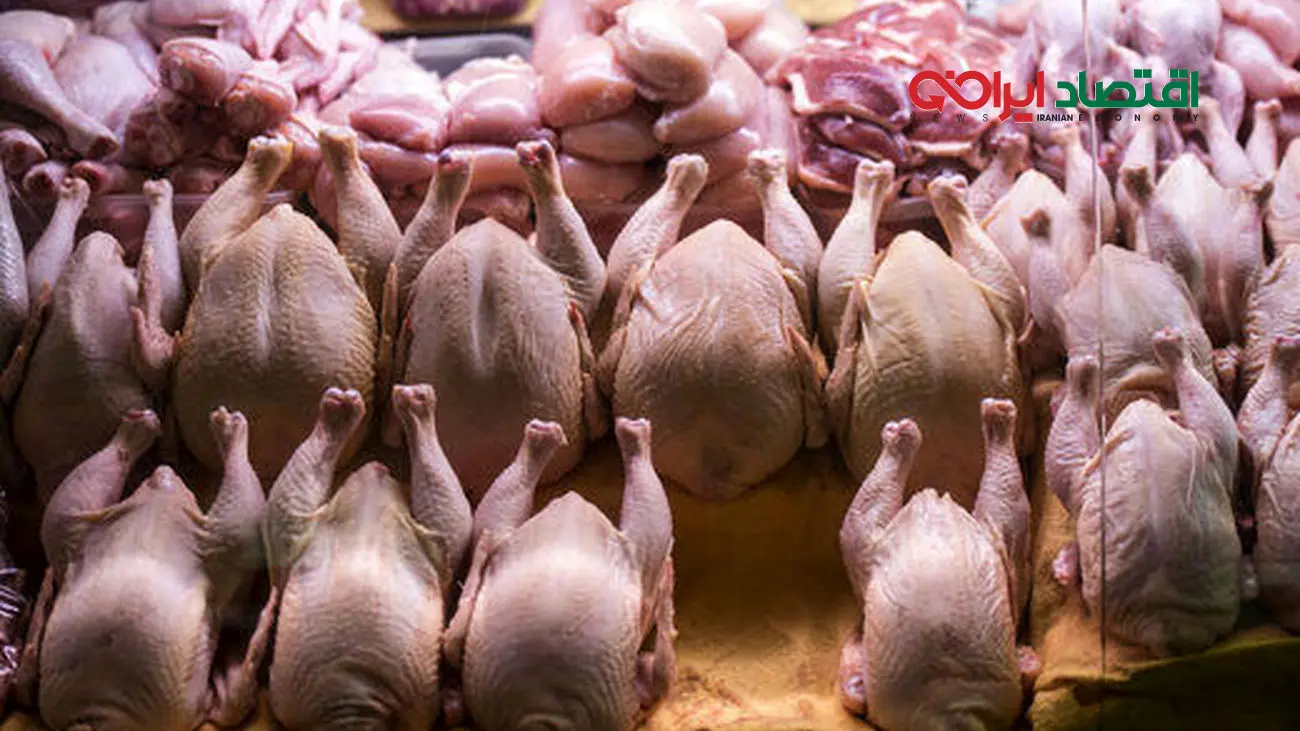 قیمت جدید مرغ در بازار