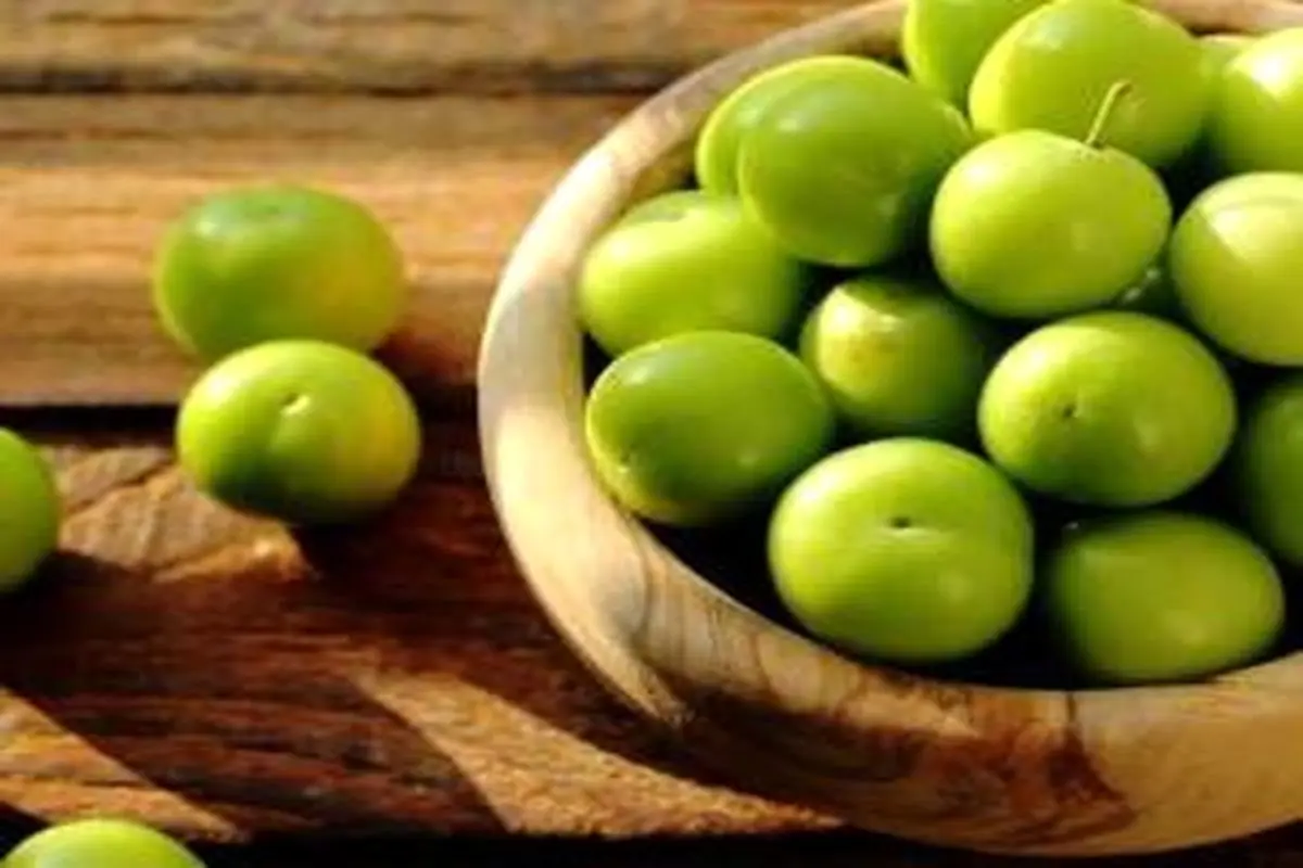 هشدار درباره محدودیت سنی خوردن گوجهسبز / خطر برای این سه دسته جدی است